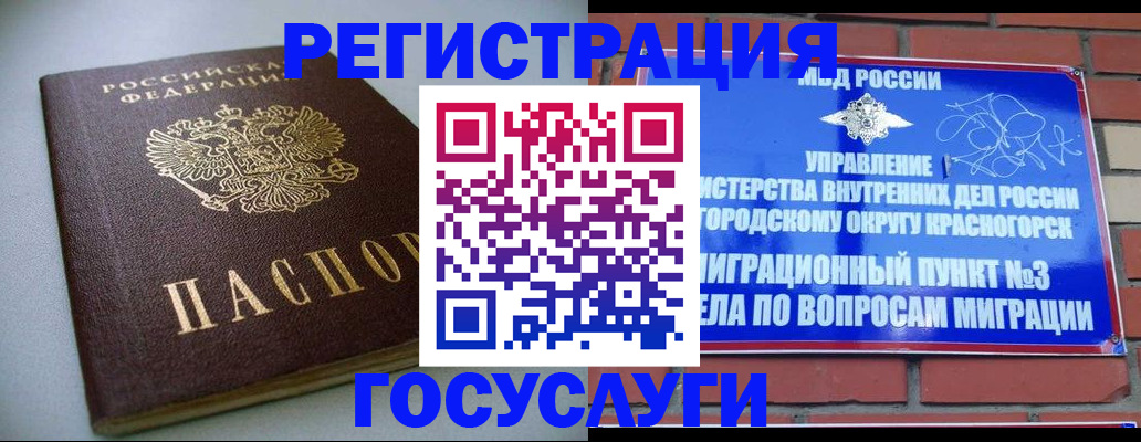 временная прописка в Электрогорске